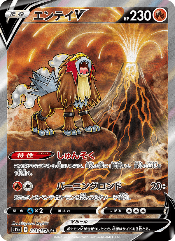 Entei V 213/172 Special Art Rare card from VSTAR Universe