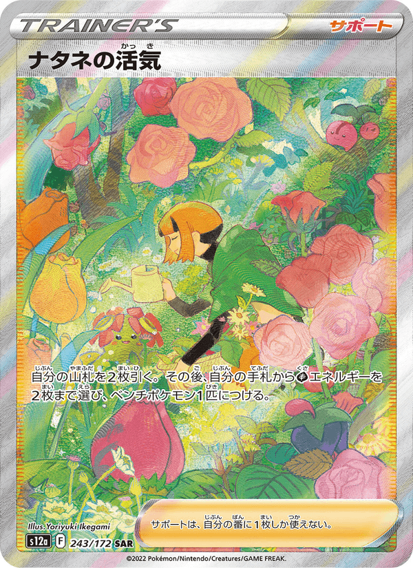 Gardenia's Vigor 243/172 Special Art Rare card from VSTAR Universe