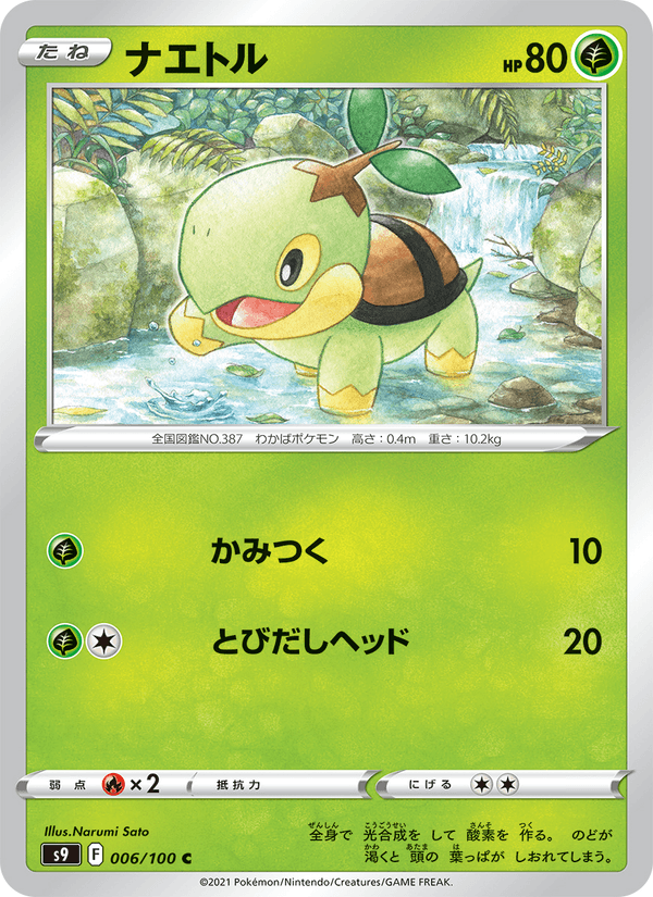 Turtwig 6/100 Common card from Star Birth