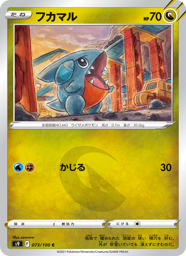 Gible 73/100 Common card from Star Birth