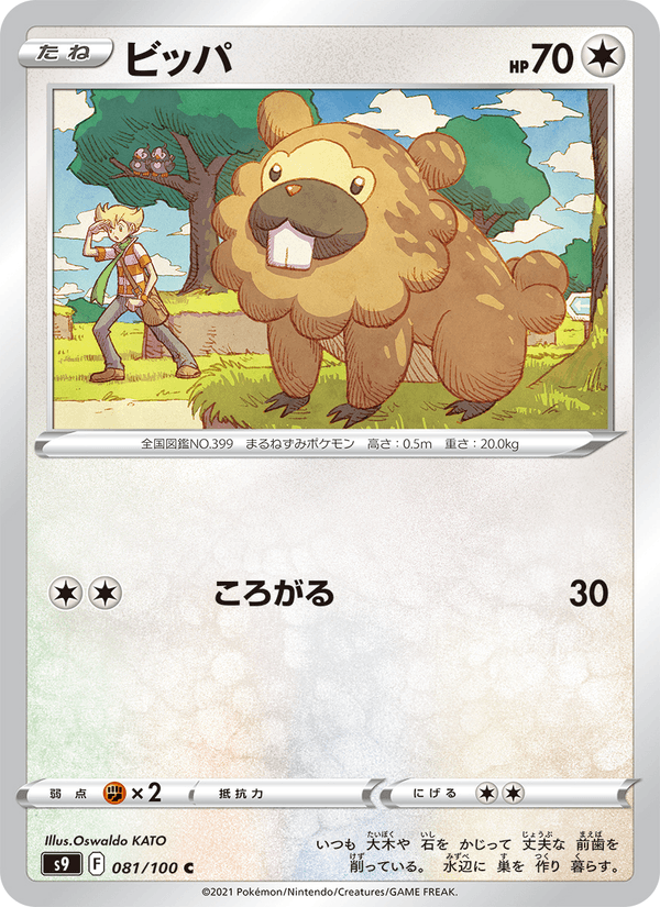 Bidoof 81/100 Common card from Star Birth