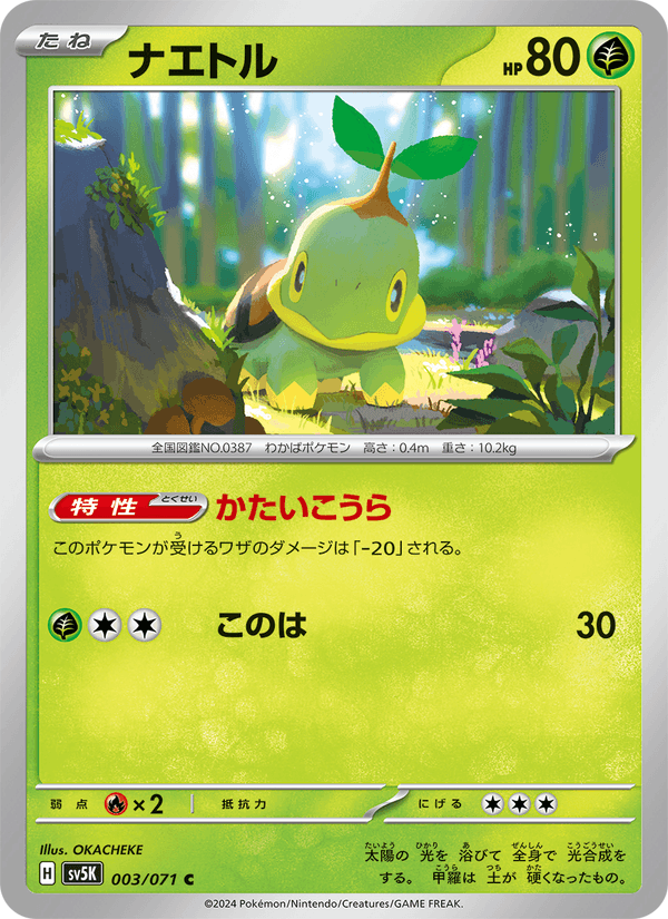 Turtwig 3/71 Common card from Wild Force