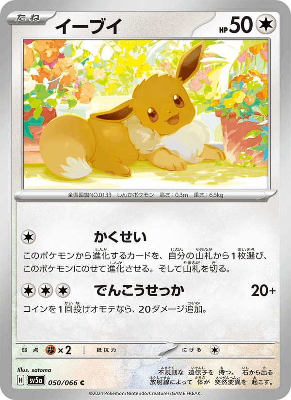 Eevee 50/66 Common card from Crimson Haze