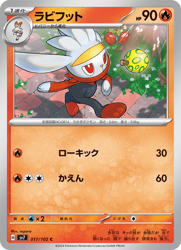 Raboot 17/102 Common card from Stellar Miracle