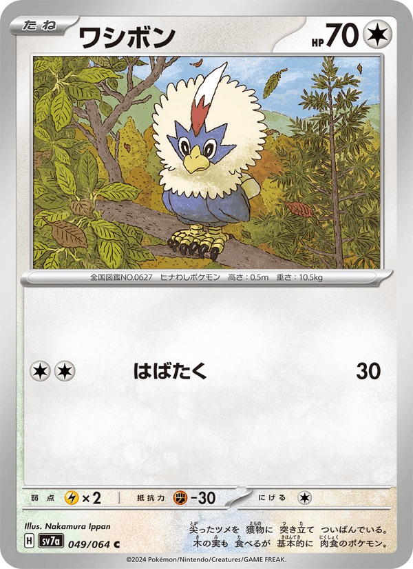 Rufflet 49/64 Common card from Paradise Dragona