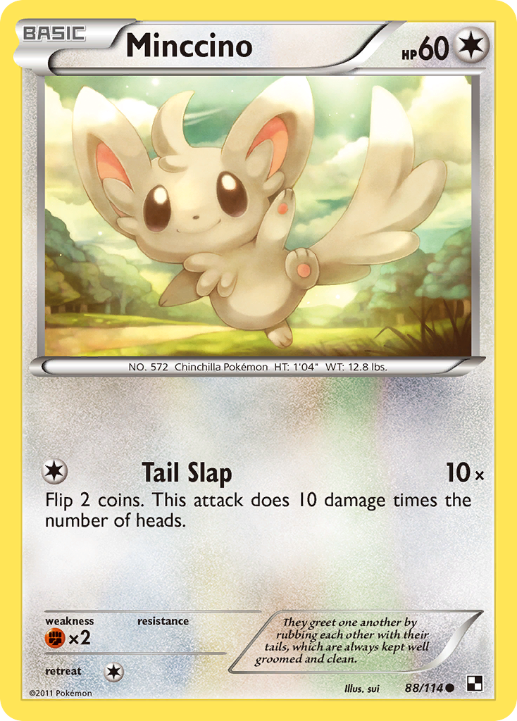 Minccino 88 Common card from Black & White