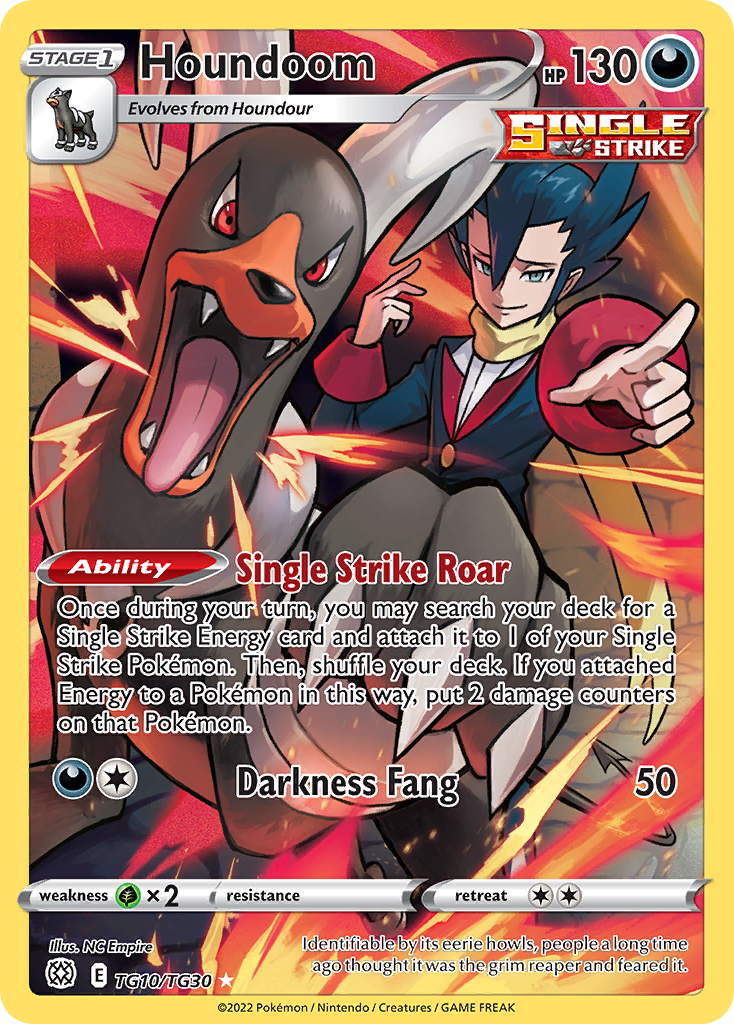 Houndoom TG10/30 Trainer Gallery Rare Holo card from Brilliant Stars Trainer Gallery