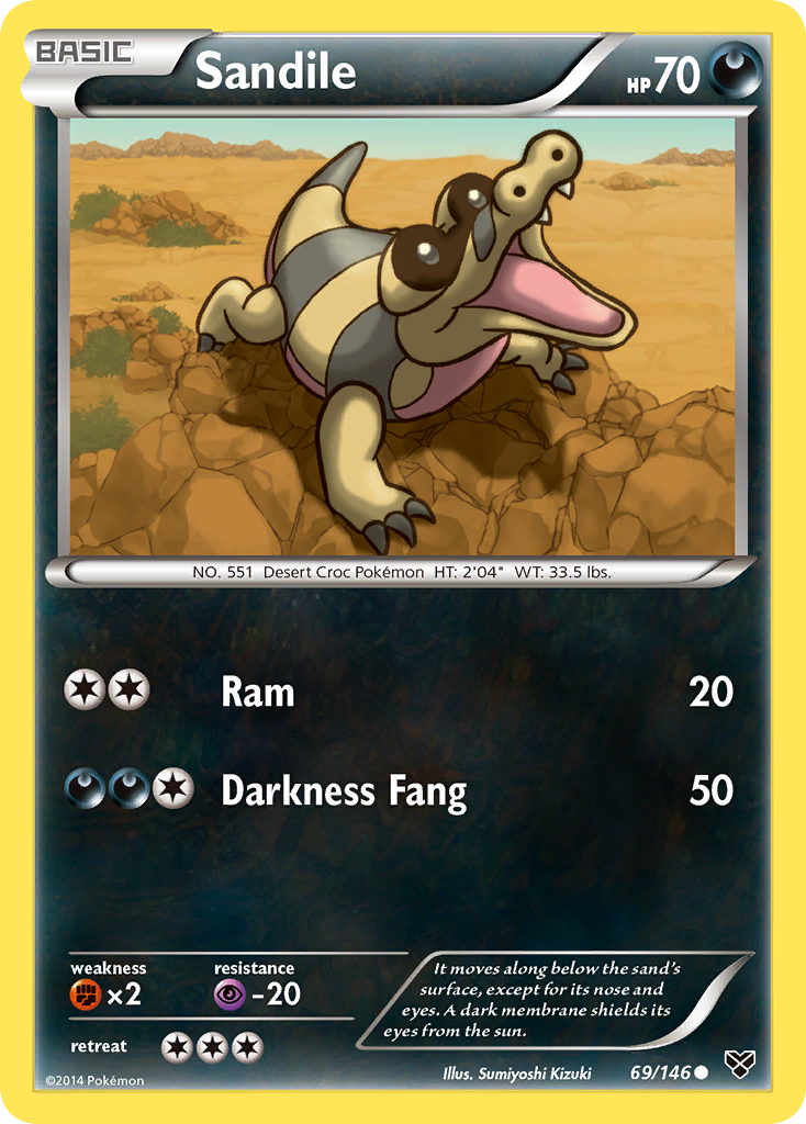 Sandile 69/146 Common card from XY