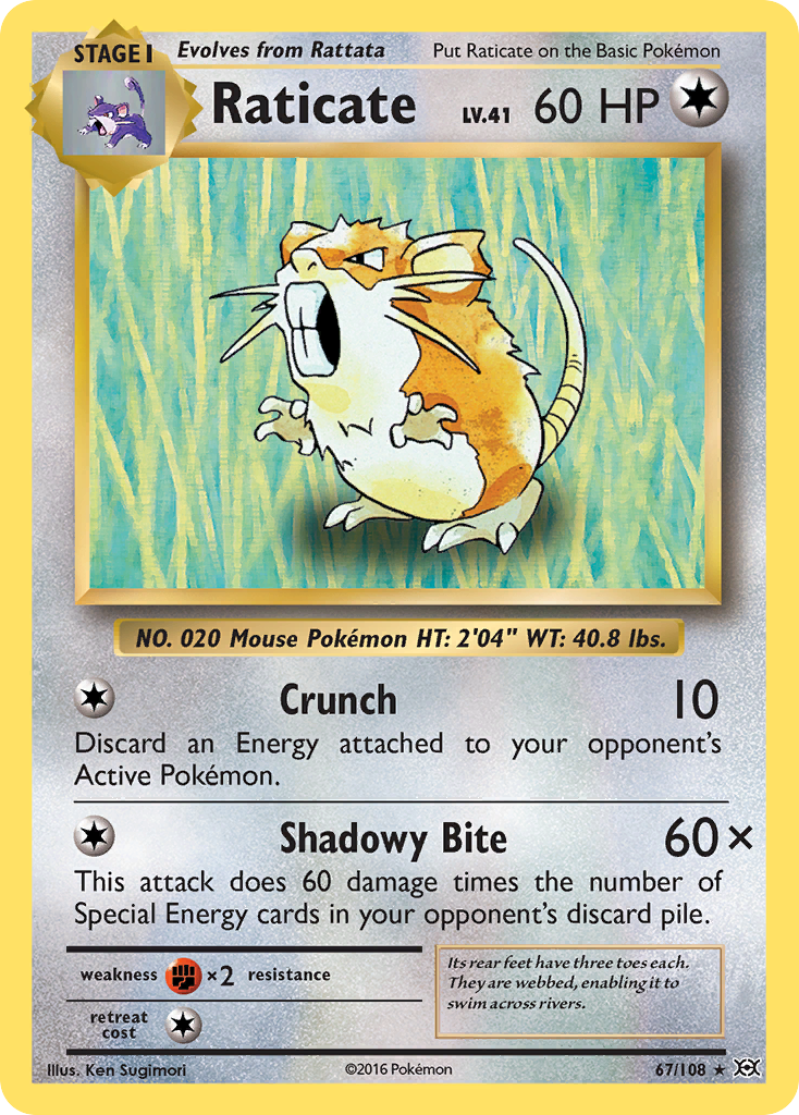 Raticate 67 Rare card from Evolutions