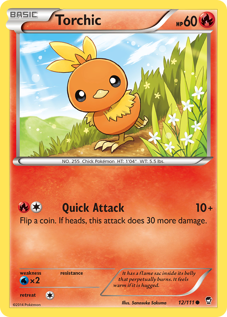 Torchic 12/111 Common card from Furious Fists