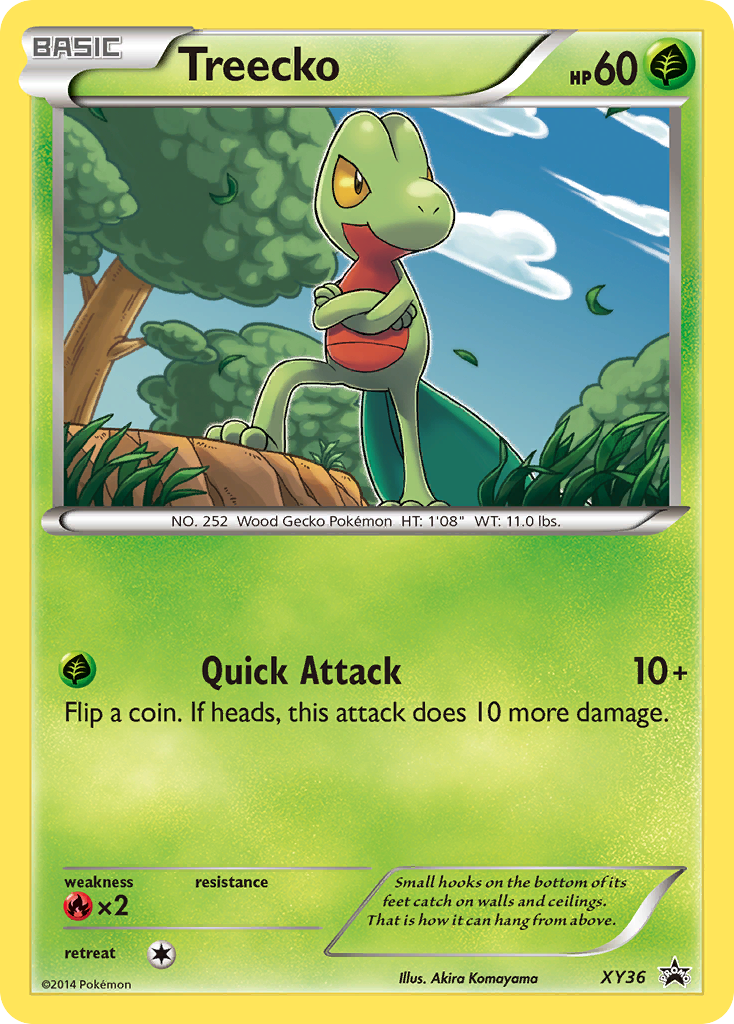 Treecko XY36 Promo card from XY Black Star Promos