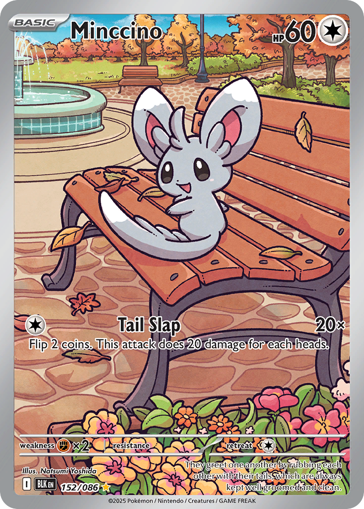 Minccino 152 Illustration Rare card from Black Bolt